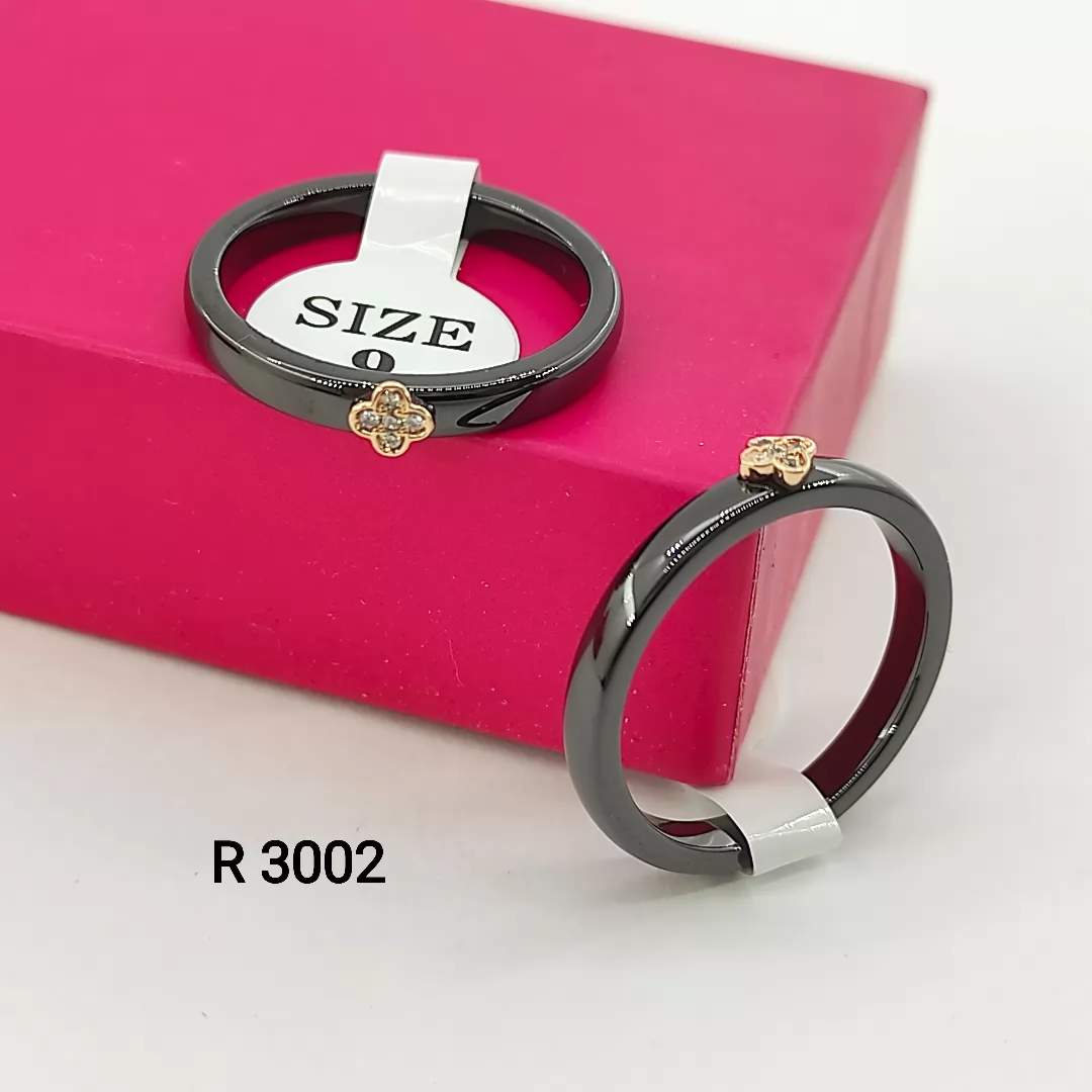 R 3002